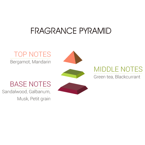 Fragrance Pyramid