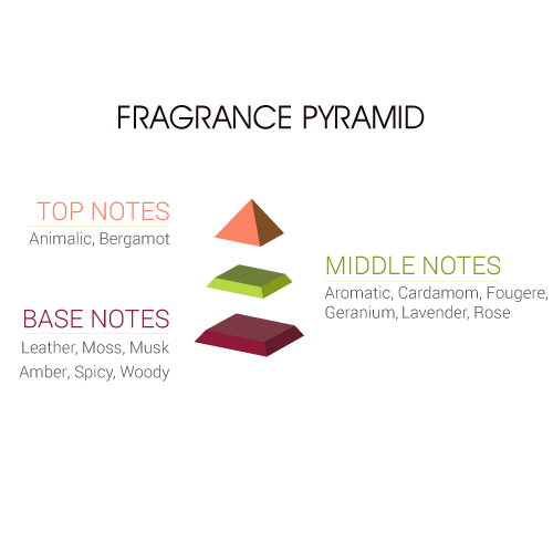 Fragrance Pyramid